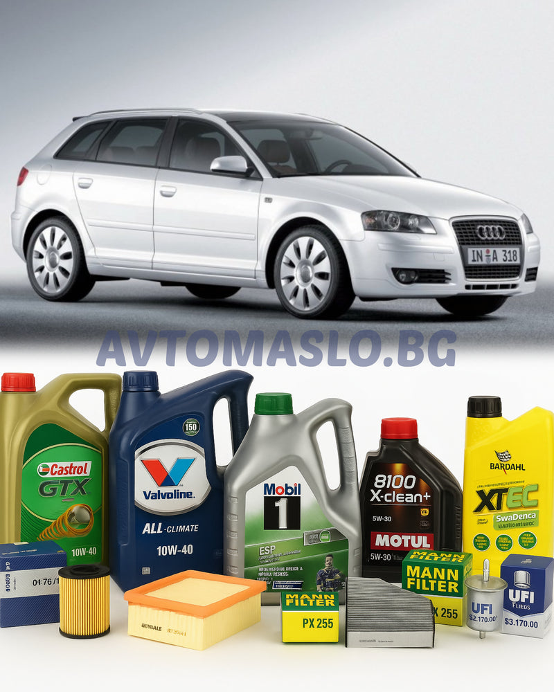 Комплект Масло и Филтри за Audi A3 8P1  1.6 102кс. BSF, BGU, BSE, CCSA